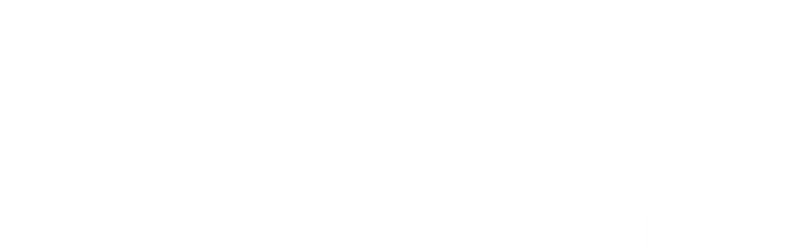 PT Sariling Aneka Energi