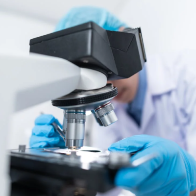 Sumber : www.pexels.com